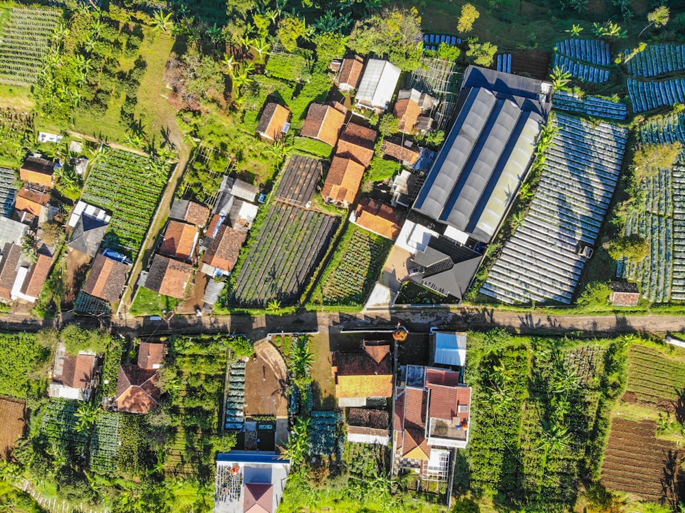 Vista aérea de casas y árboles durante el día