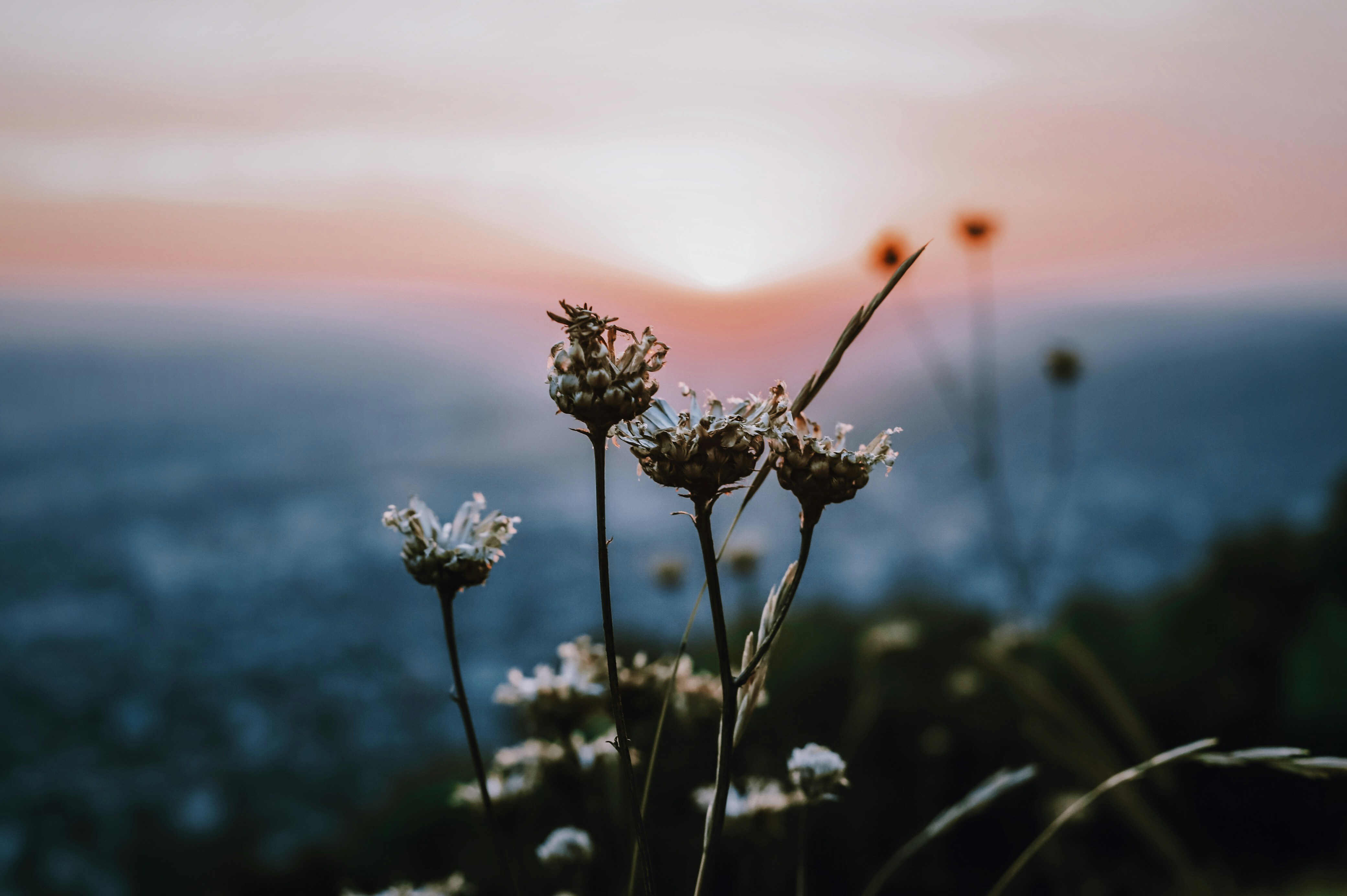 Photo by lizazebreva