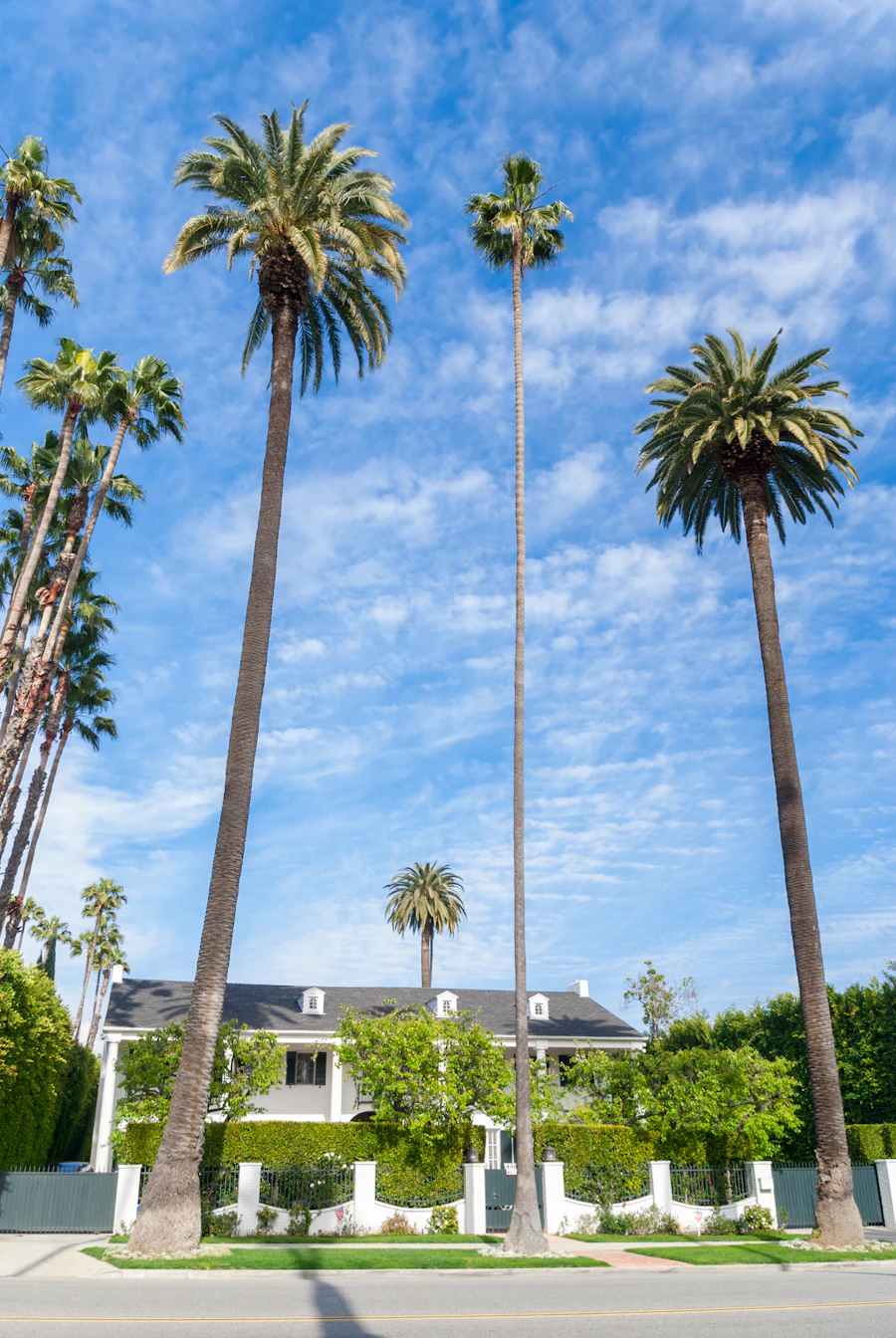 Why low-density living is the new luxury currency