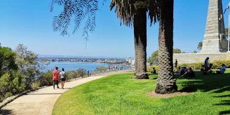 A scenic Houston park with locals enjoying a sunny afternoon.