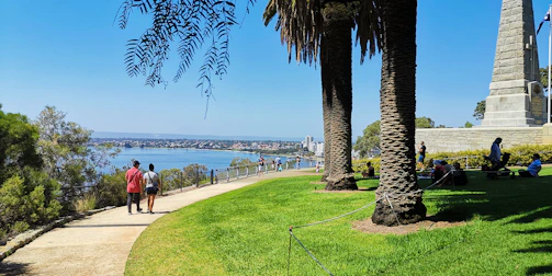 A scenic Houston park with locals enjoying a sunny afternoon.