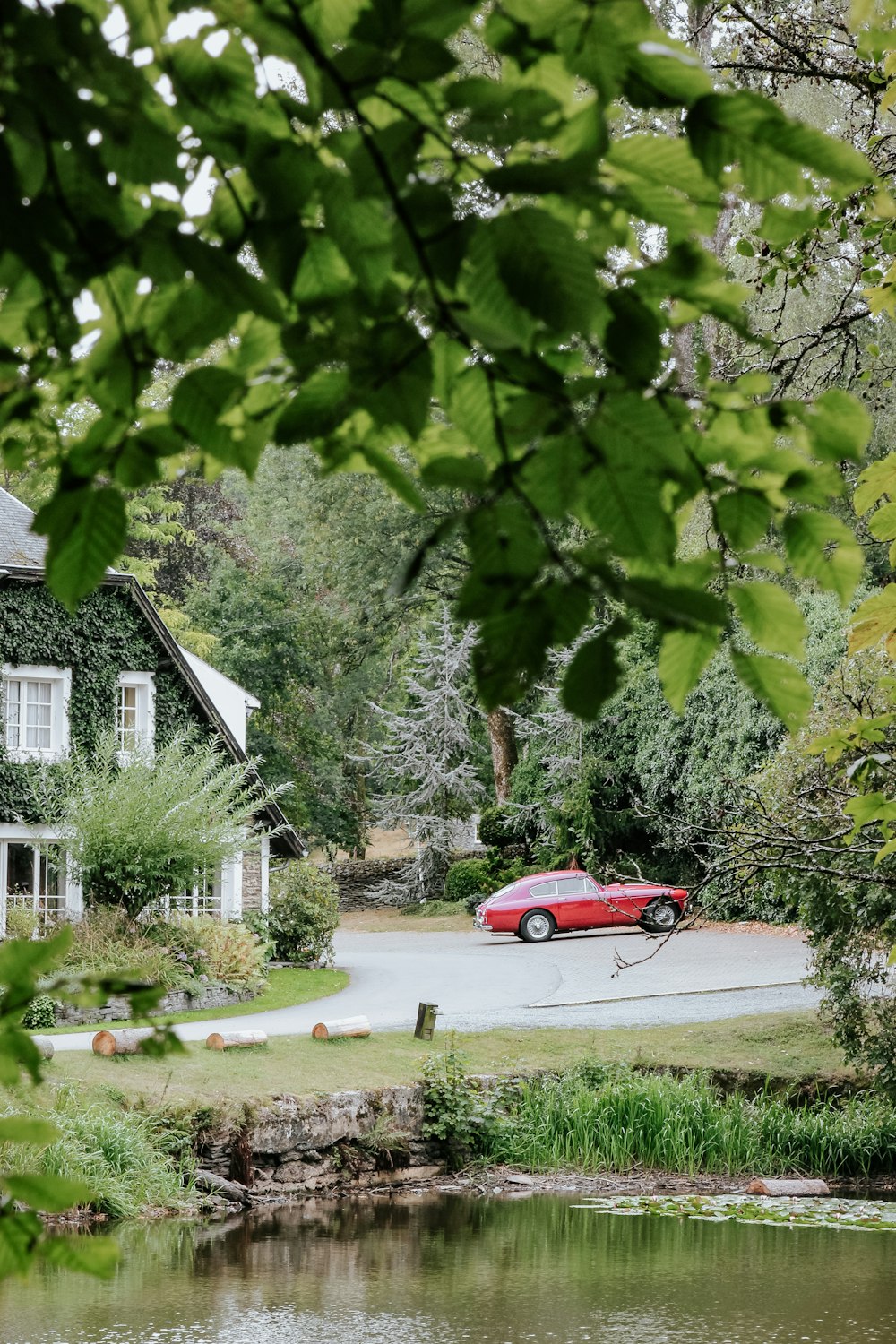 red sedan parked beside green tree during daytime