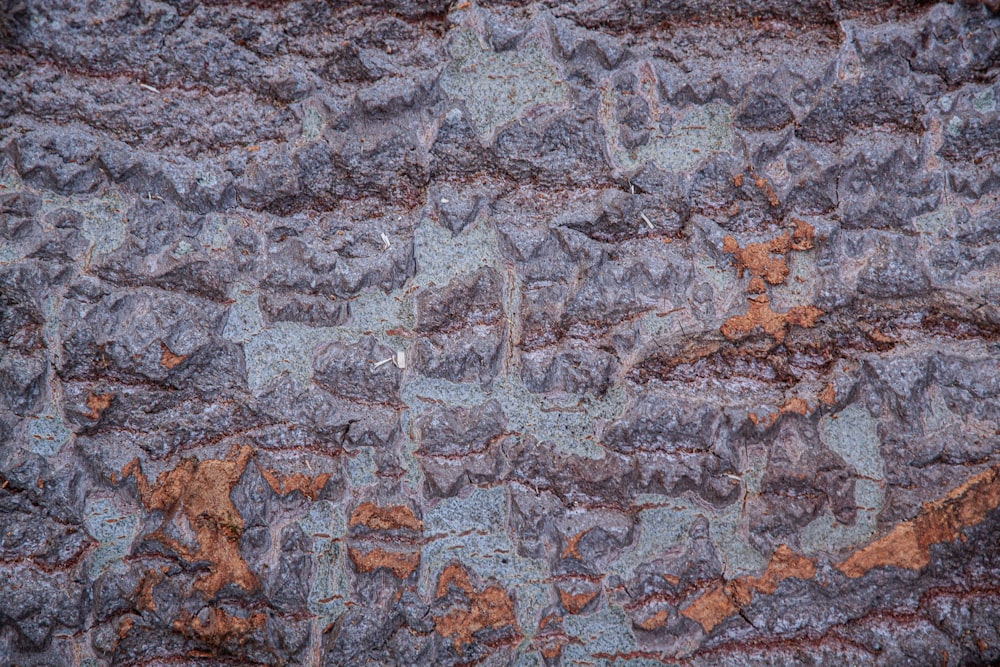 brown and gray concrete wall