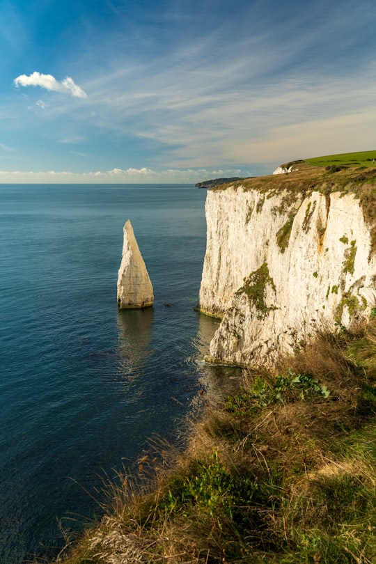 white and green rock formation on sea under blue sky during daytime in Purbeck Heritage Coast United Kingdom