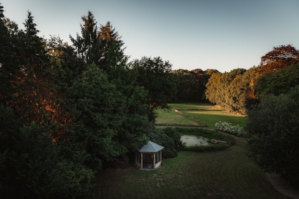 A serene landscape featuring a lush green garden with a small gazebo set amidst dense trees. The sunlight casts an evening glow on the foliage, creating a play of light and shadow. A small pond is visible near the gazebo, enhancing the tranquil atmosphere.