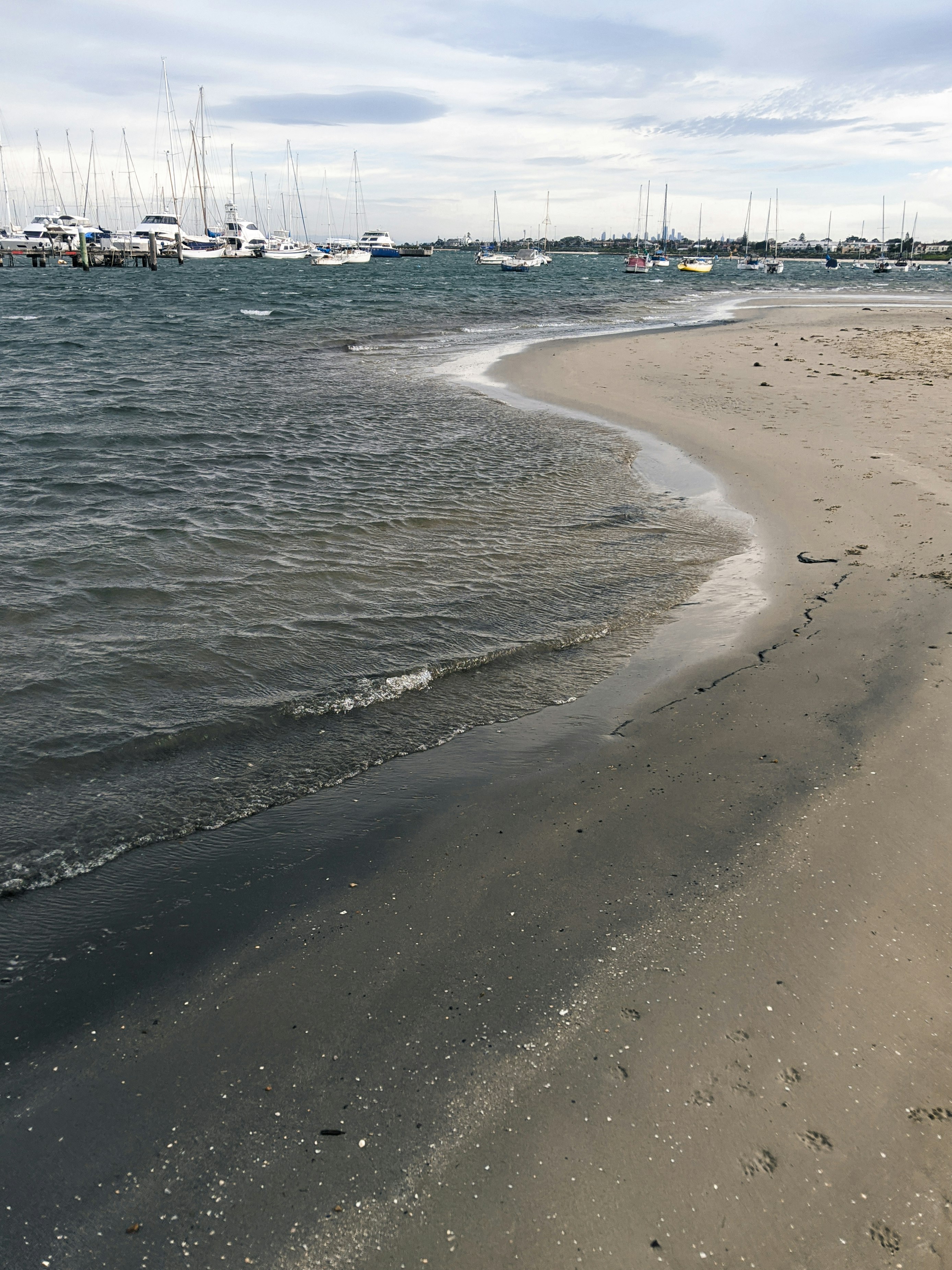 people on beach during daytime