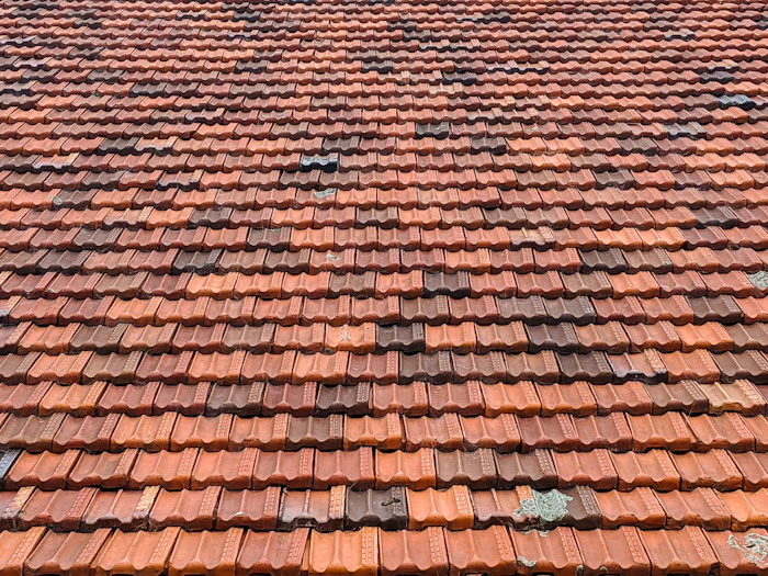 Close-up of clay roof tiles