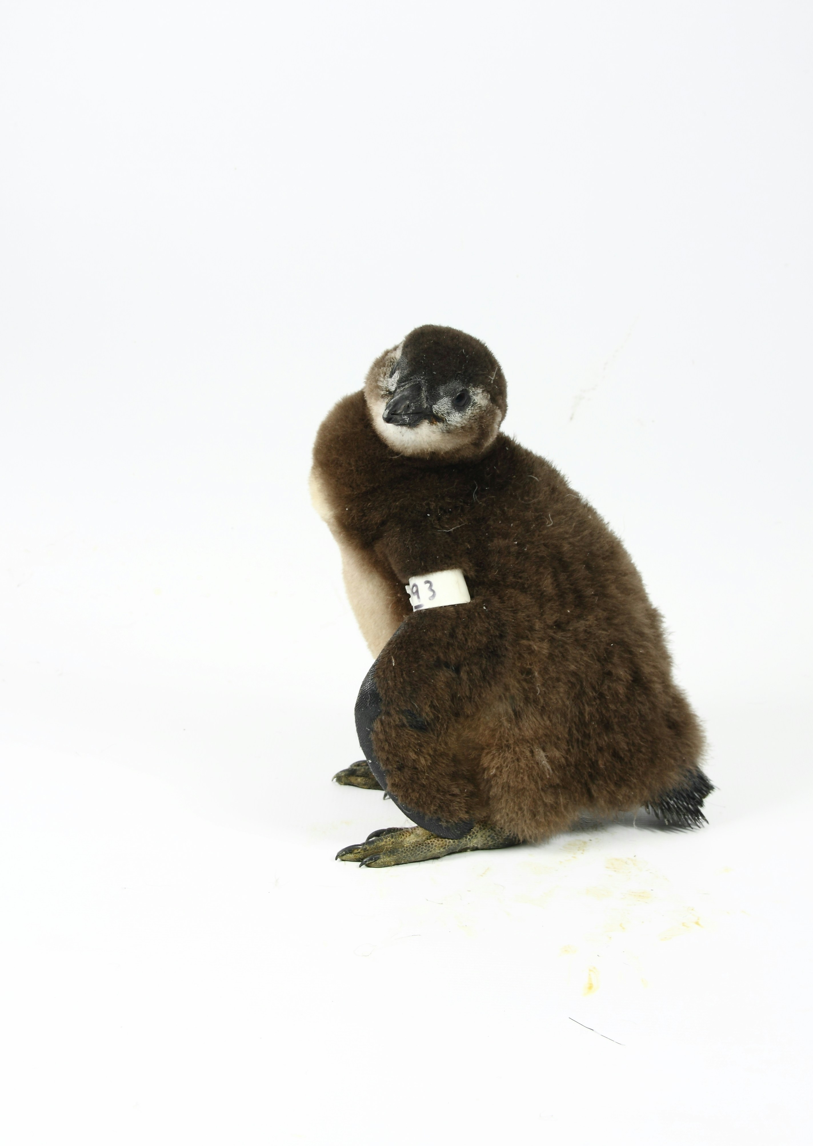 Photo by shaunmcreatives