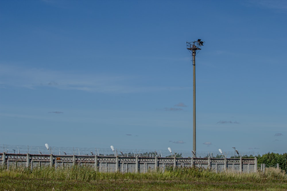 white wind turbines on green grass field under blue sky during daytime