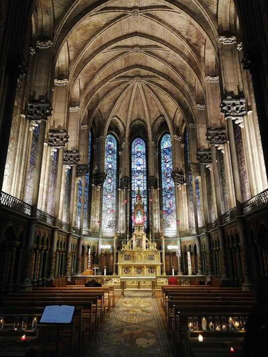 Notre Dame de la Treille Cathedral things to do in Hauts-de-France