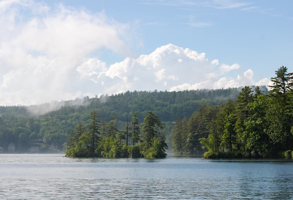 green trees beside body of water under white clouds during daytime