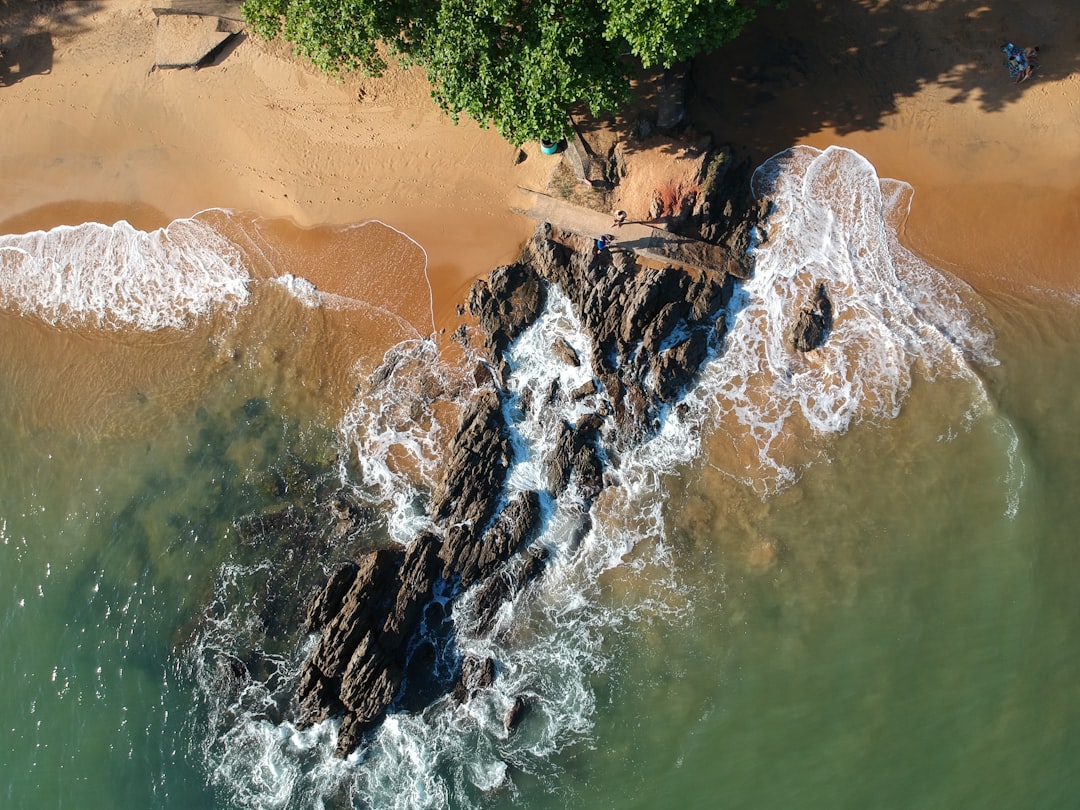 Watercourse photo spot Anchieta - ES Brasil