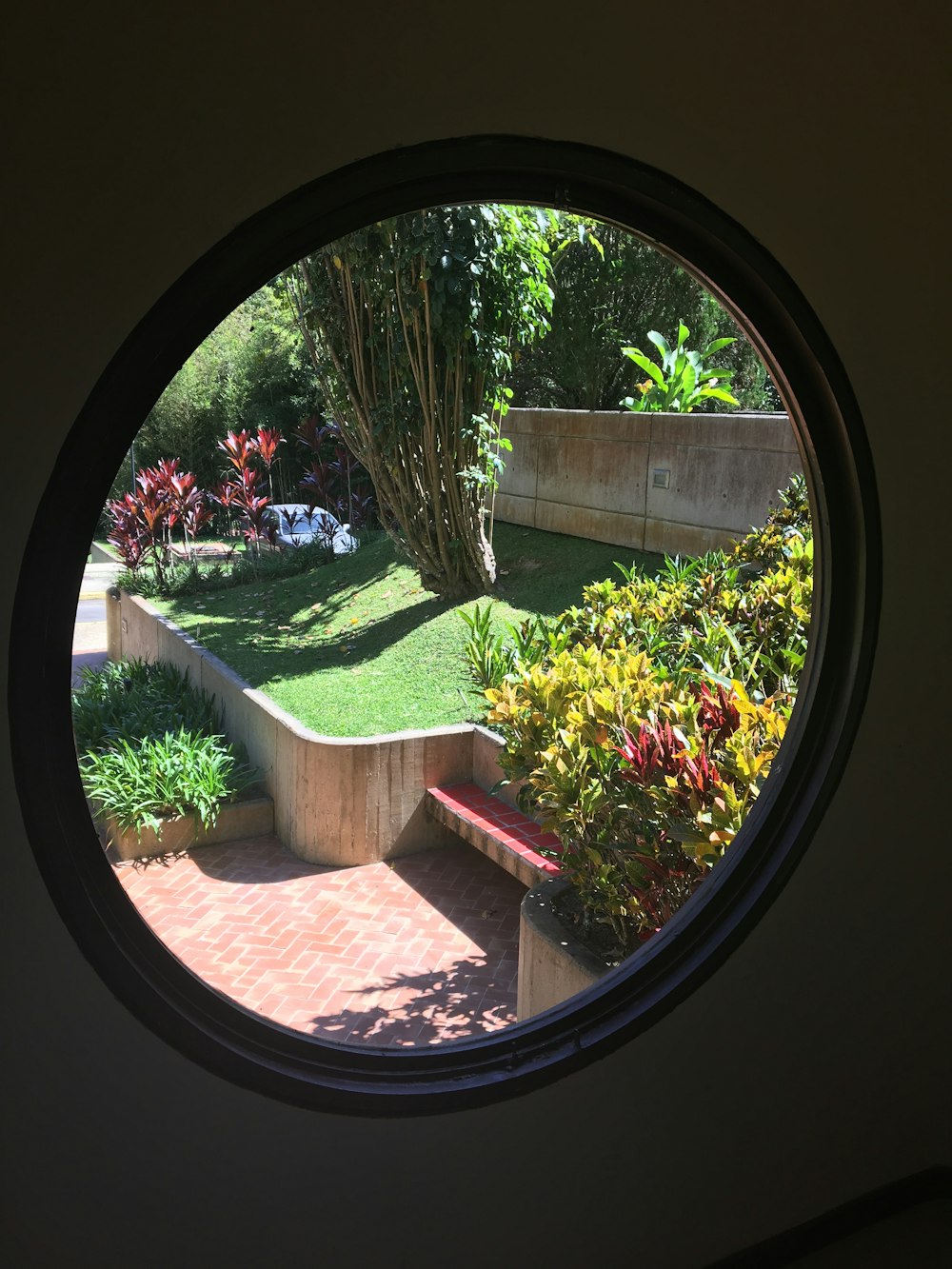 Planta verde y roja cerca de la casa de hormigón marrón