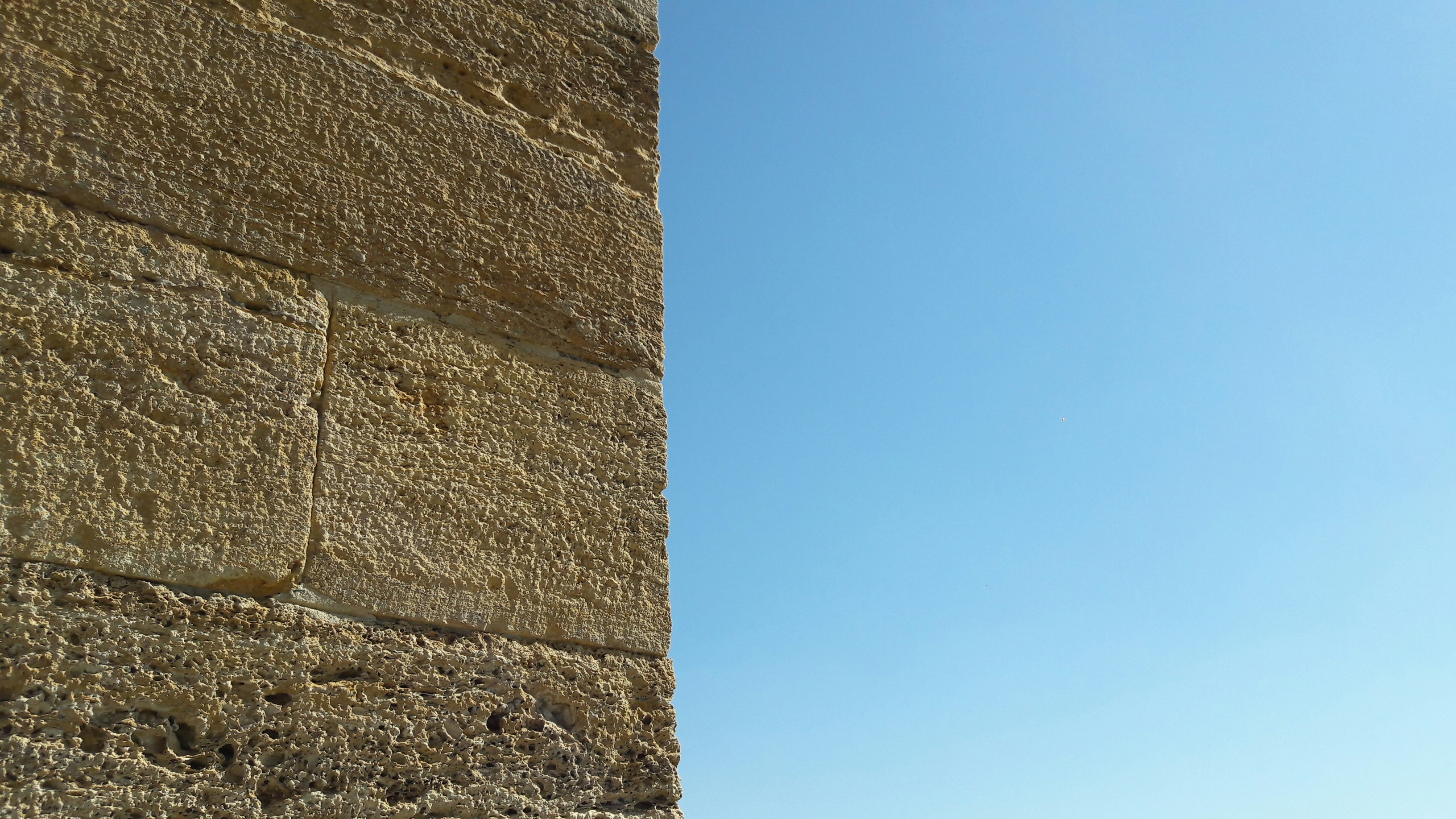 Photo by somehowimanage