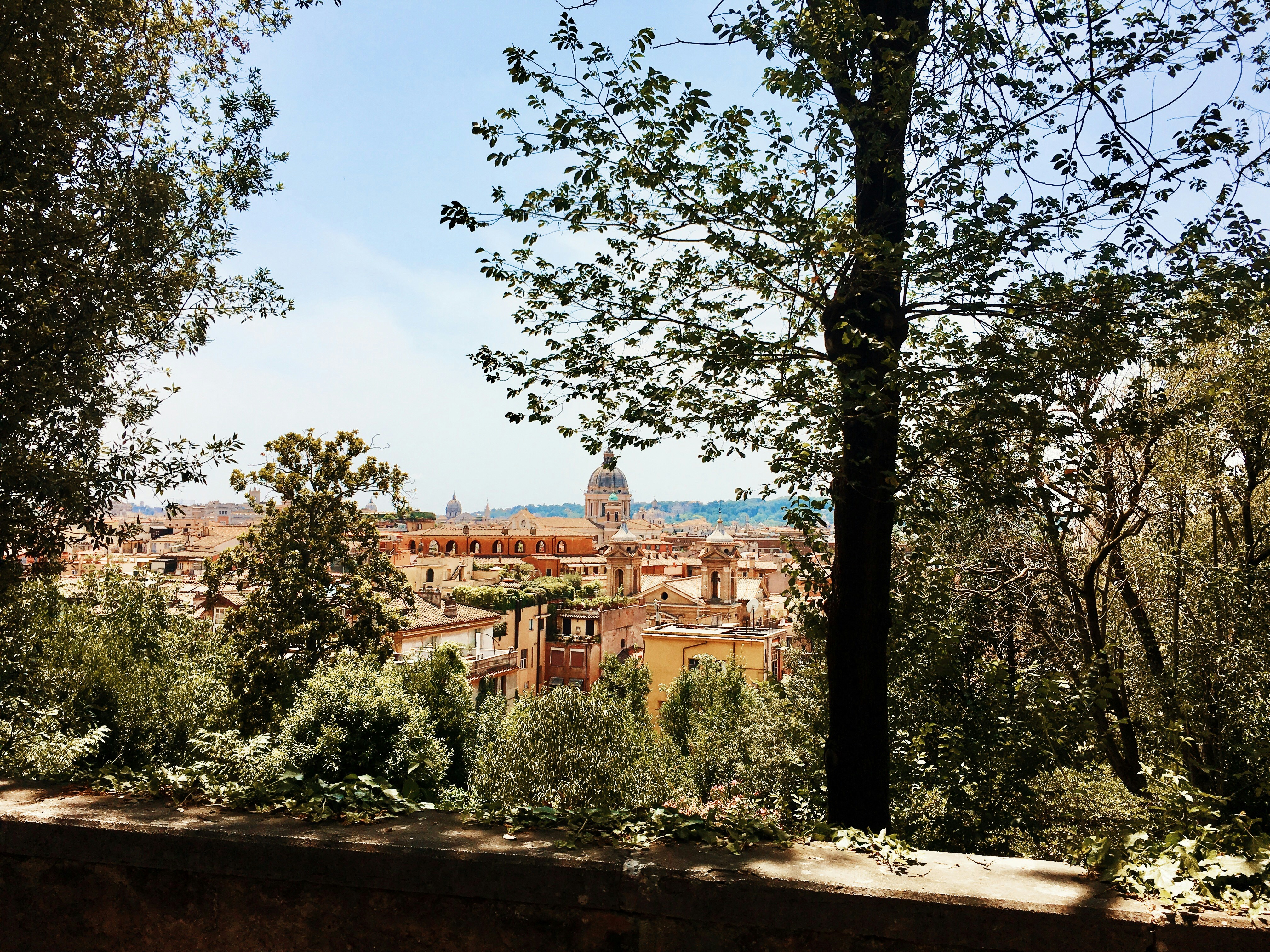 Photo by bettysubrizi_