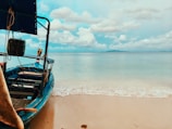 blue and brown boat on beach during daytime