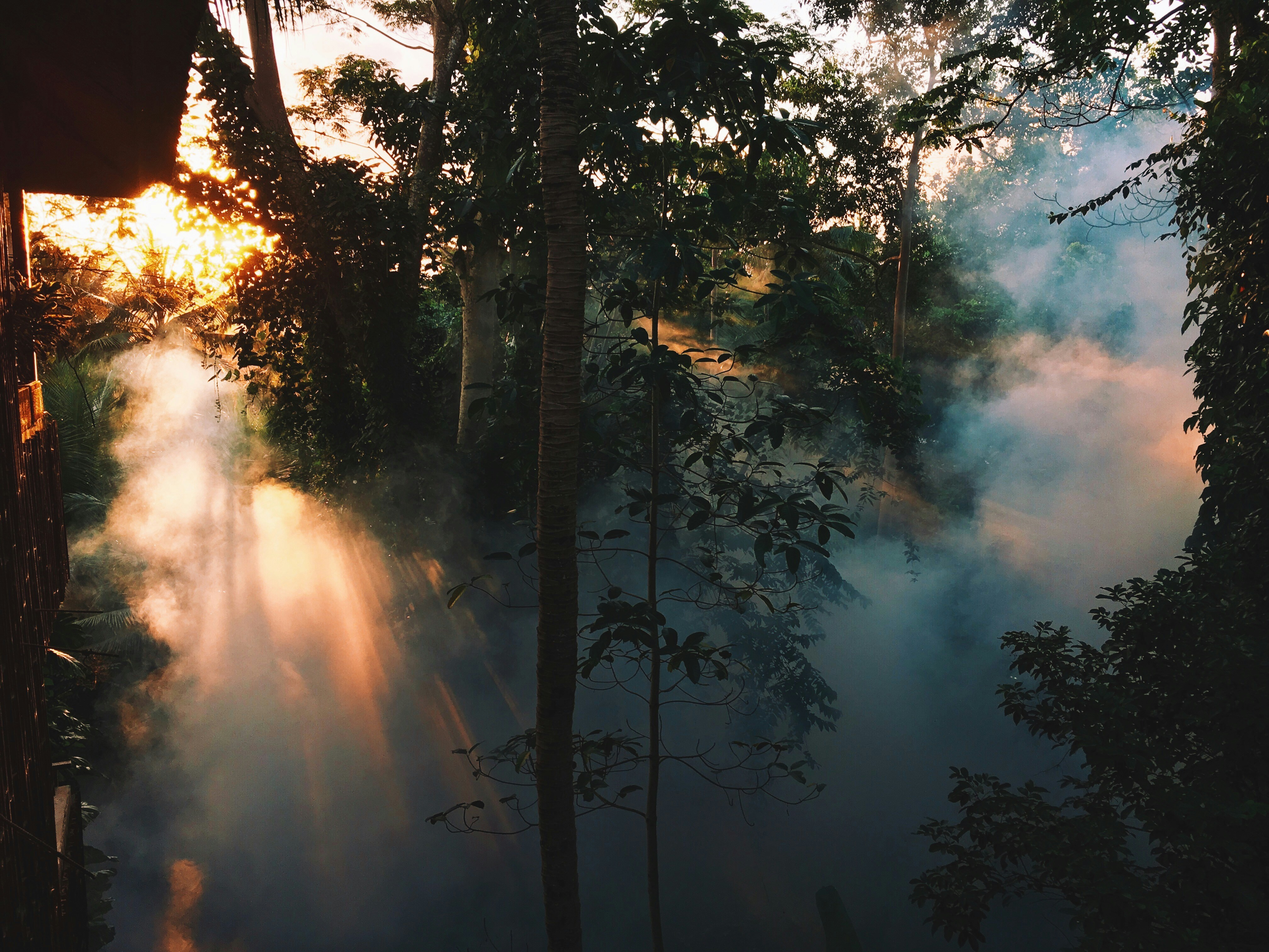 Bali Esencial: 10 días entre templos, arrozales y cultura en Ubud image