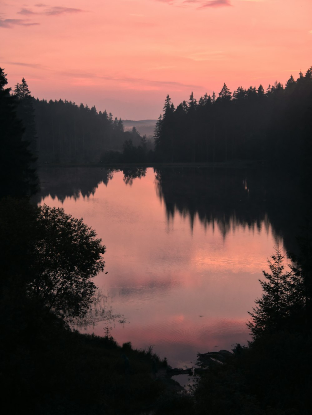 green trees beside body of water during sunset