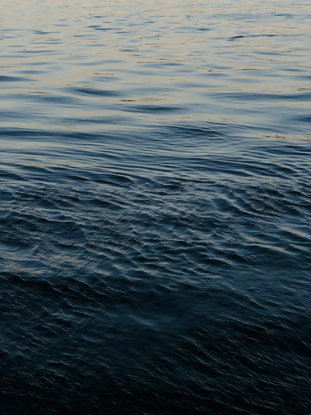 body of water during daytime