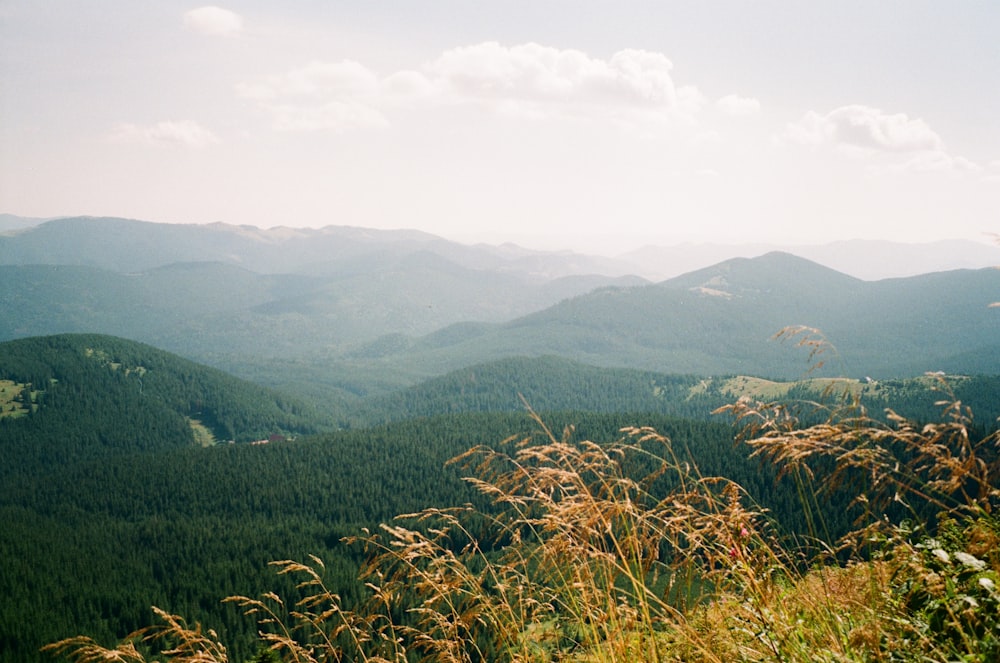 campo de grama verde e marrom perto das montanhas durante o dia