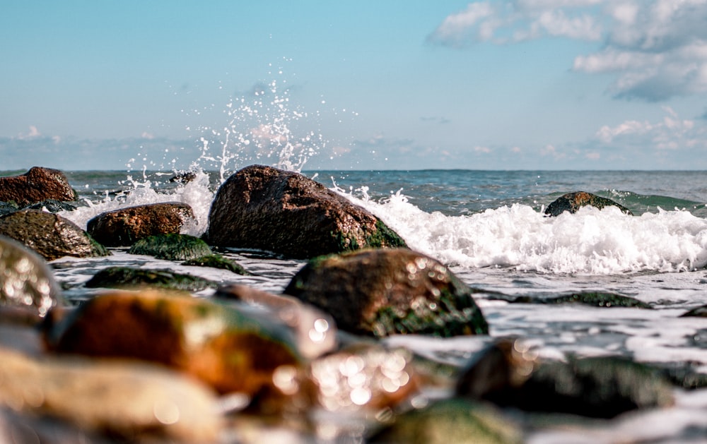 brown rocks on sea shore during daytime