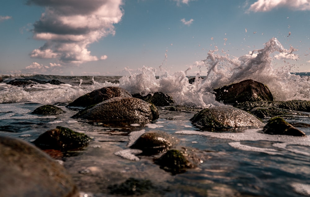 rocky shore under blue sky during daytime