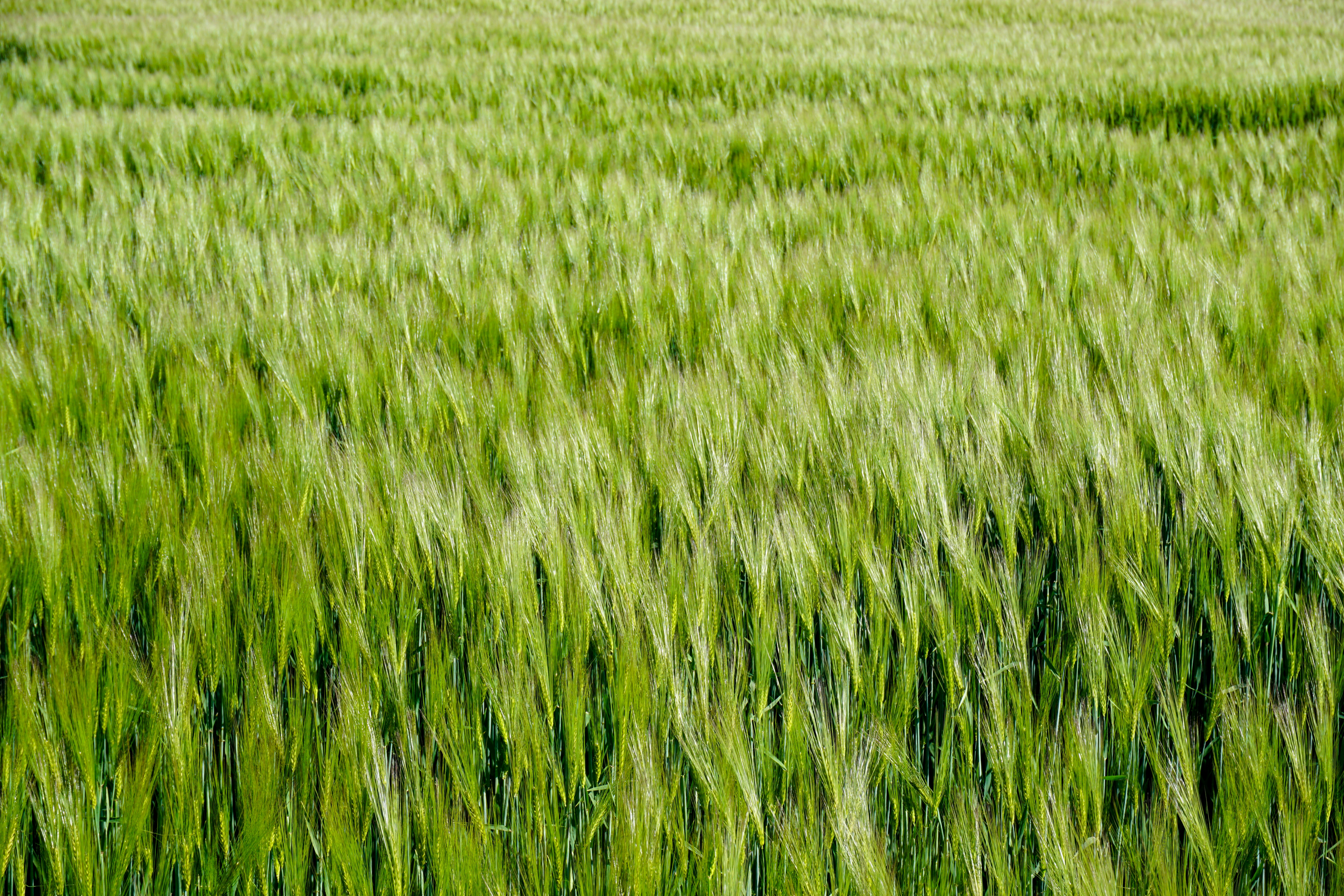 Photo by imaginaryflavour