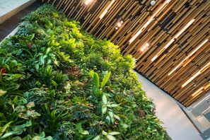 A vertical garden with a variety of lush green plants set against a modern wooden slat wall. The lighting casts a warm glow, highlighting the diversity and vibrancy of the foliage.