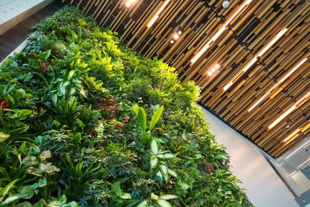 A vertical garden with a variety of lush green plants set against a modern wooden slat wall. The lighting casts a warm glow, highlighting the diversity and vibrancy of the foliage.