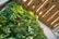 A vertical garden with a variety of lush green plants set against a modern wooden slat wall. The lighting casts a warm glow, highlighting the diversity and vibrancy of the foliage.