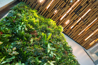green plants on white concrete floor