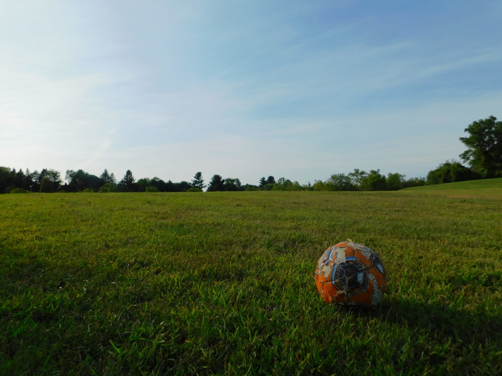 red soccer ball on green grass field under white clouds during daytime
