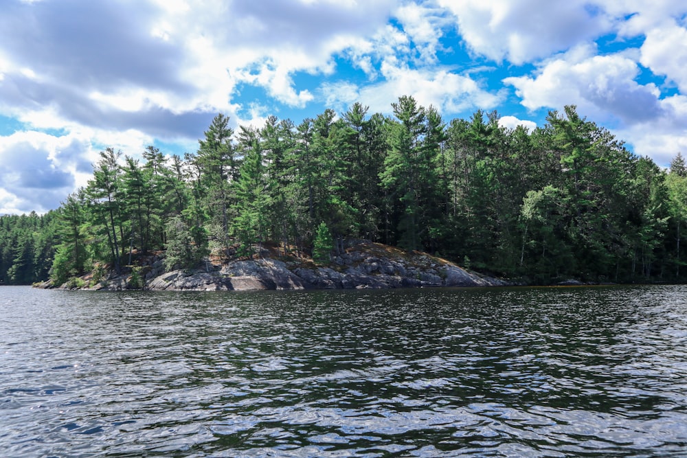 green trees beside body of water under blue sky and white clouds during daytime