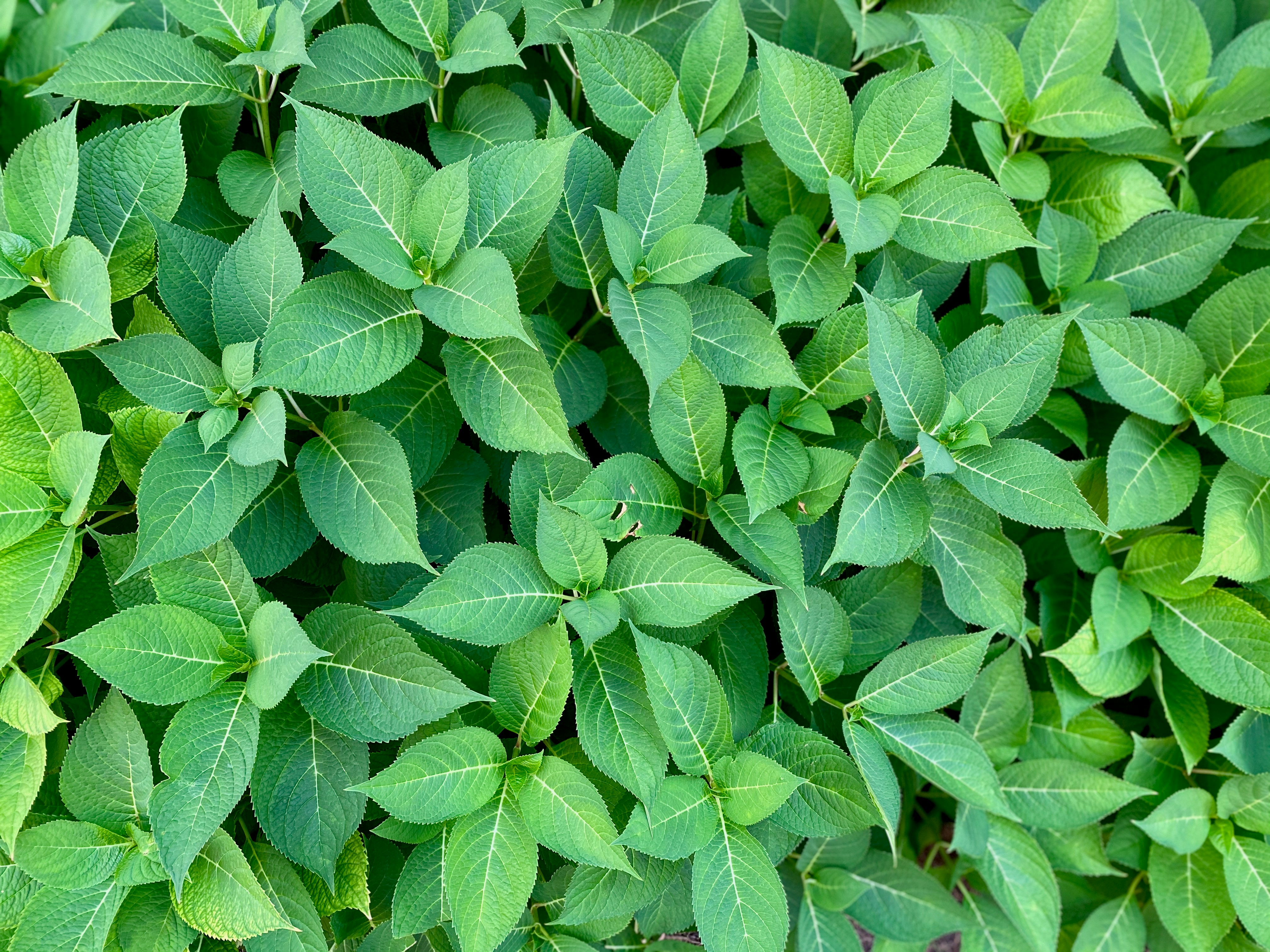 Photo by charlie_wollborg