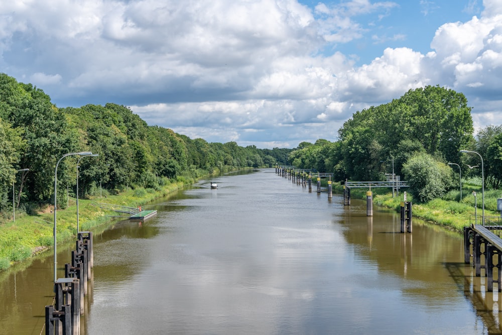 river between green trees under white clouds during daytime