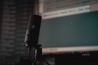 black microphone on black microphone stand