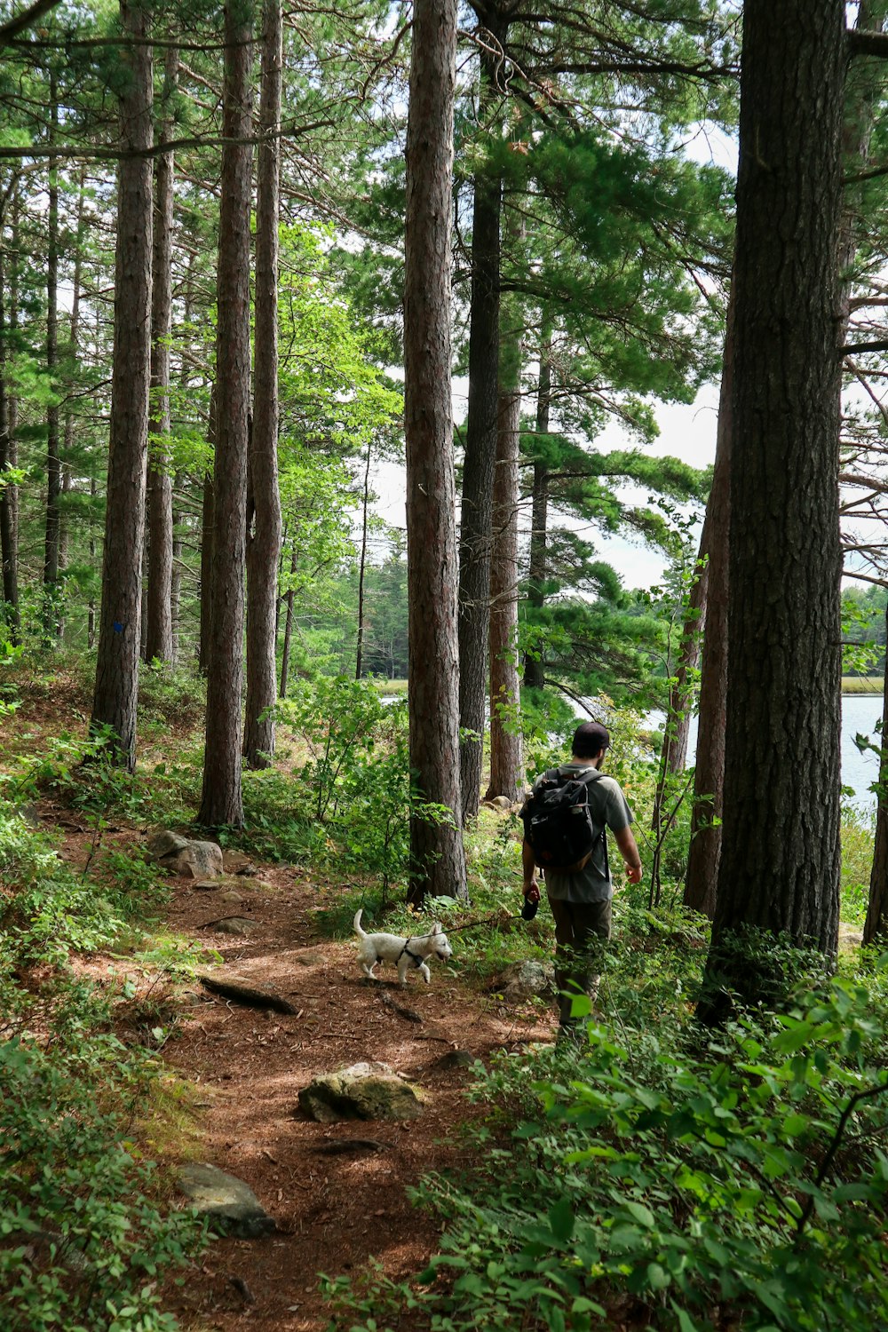 Mann in schwarzer Jacke und schwarzer Hose geht tagsüber durch den Wald