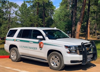 white honda suv parked near green trees during daytime