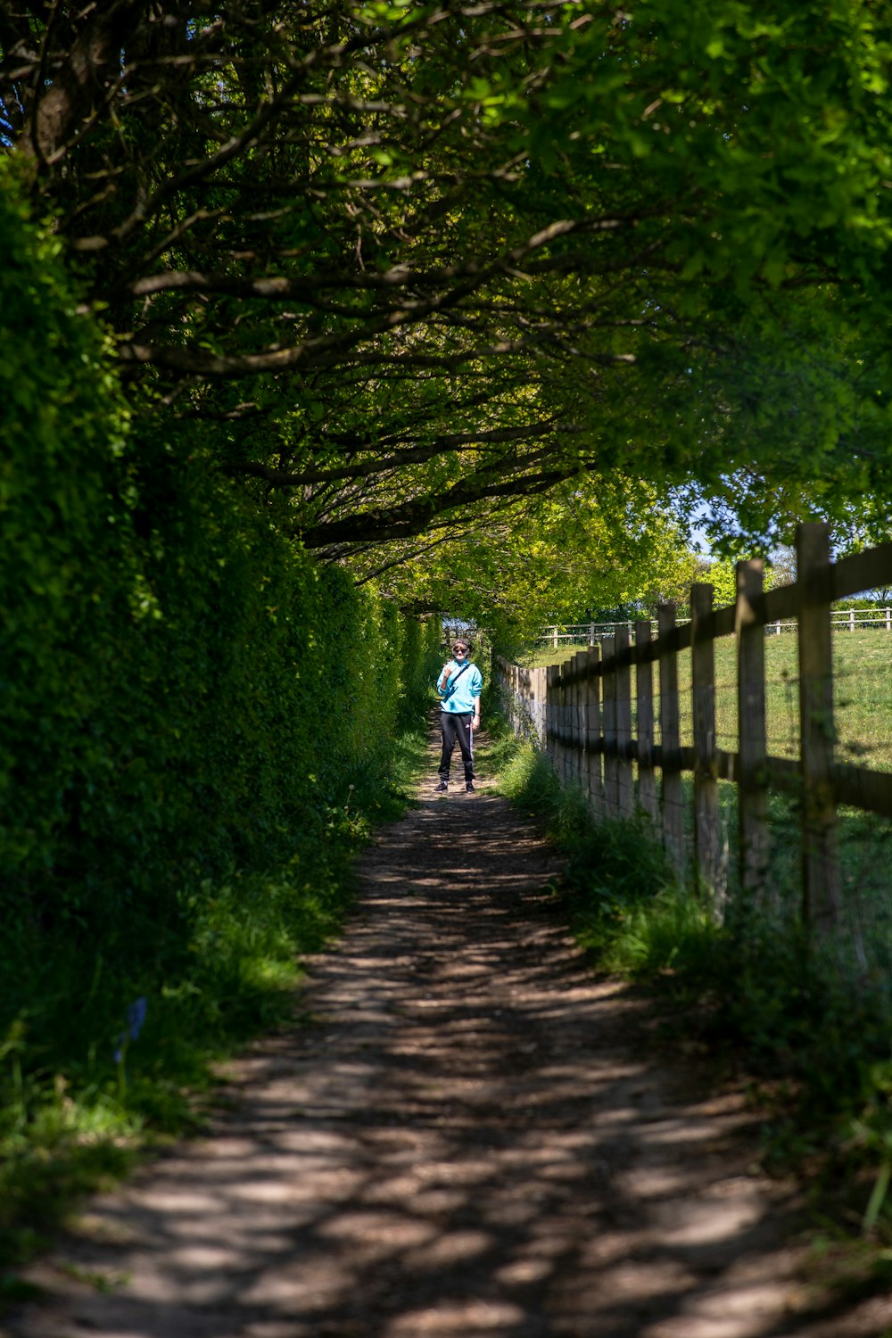 man in white shirt and blue denim jeans walking on pathway between green grass and trees