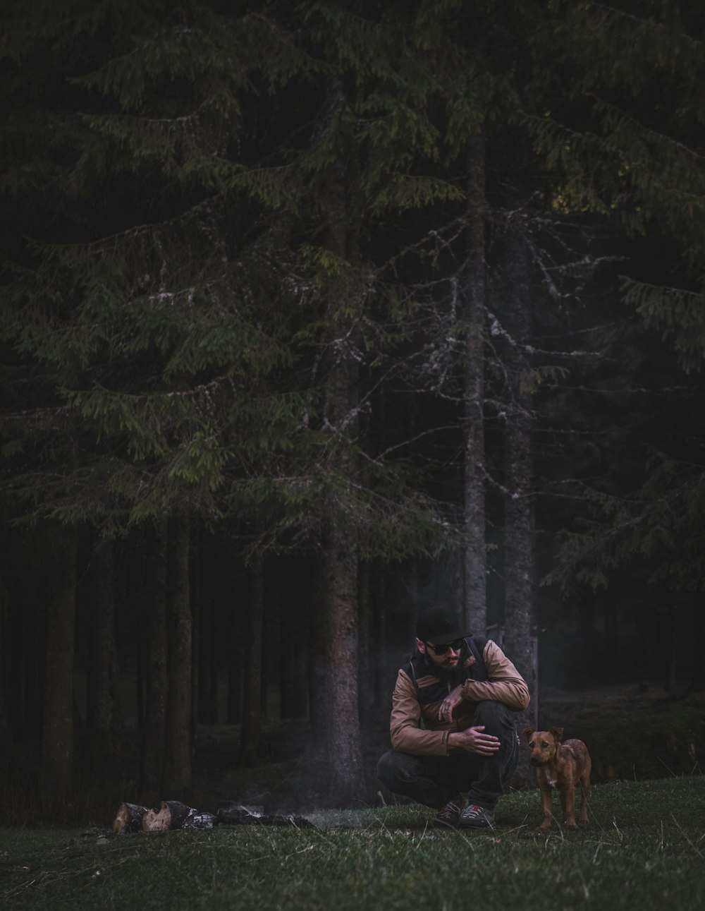 man and woman sitting on rock in the woods