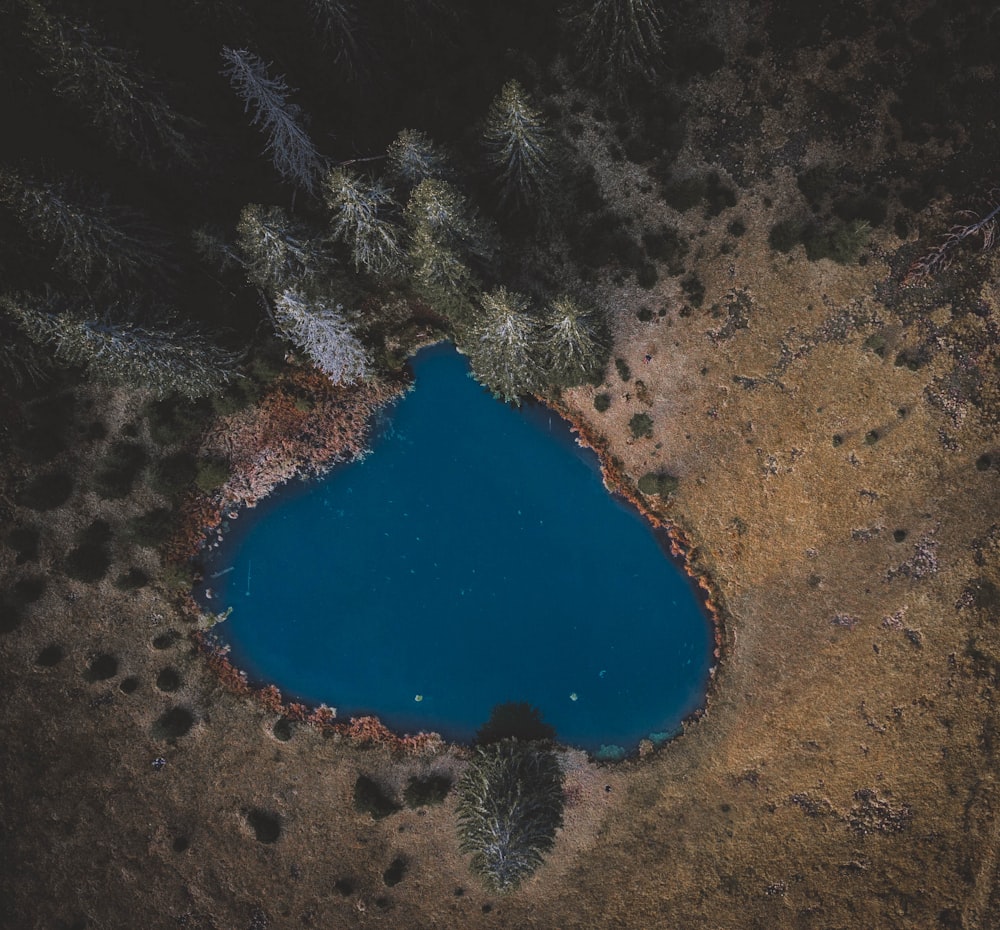 aerial view of blue lake surrounded by green trees