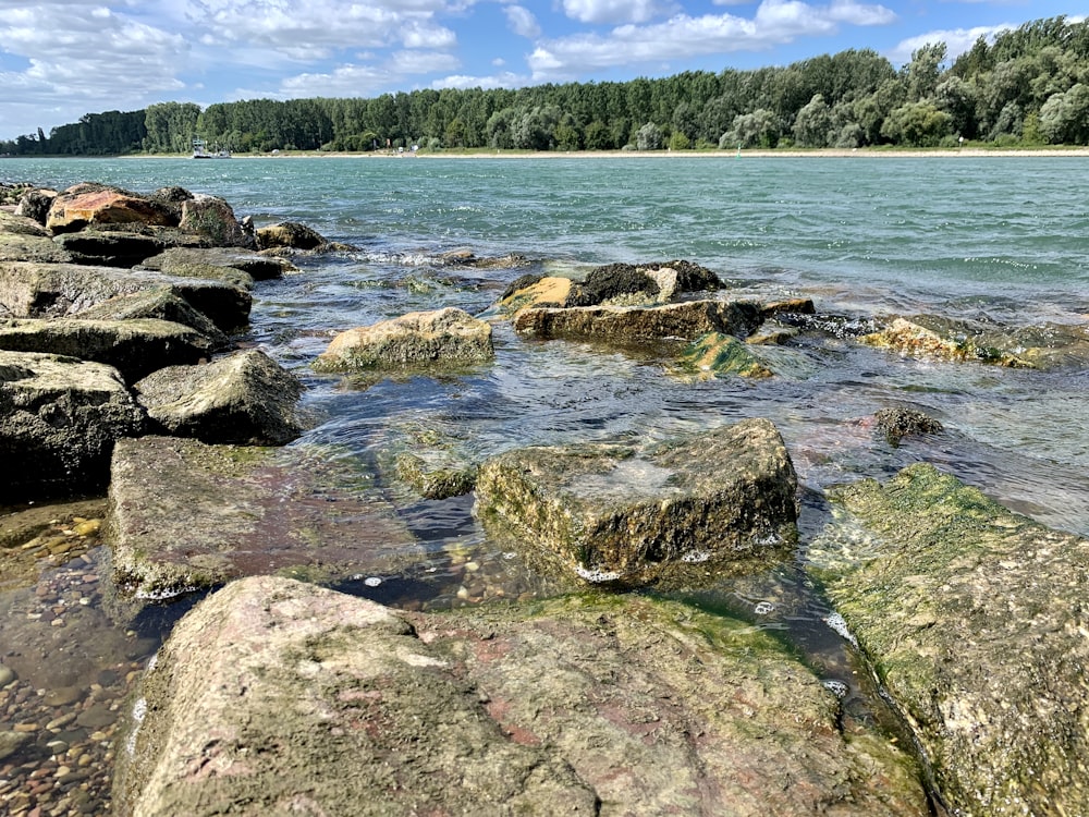 gray rocks on body of water during daytime