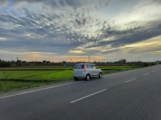 A city car parked on a quiet rural road surrounded by lush greenery under a moody sky.