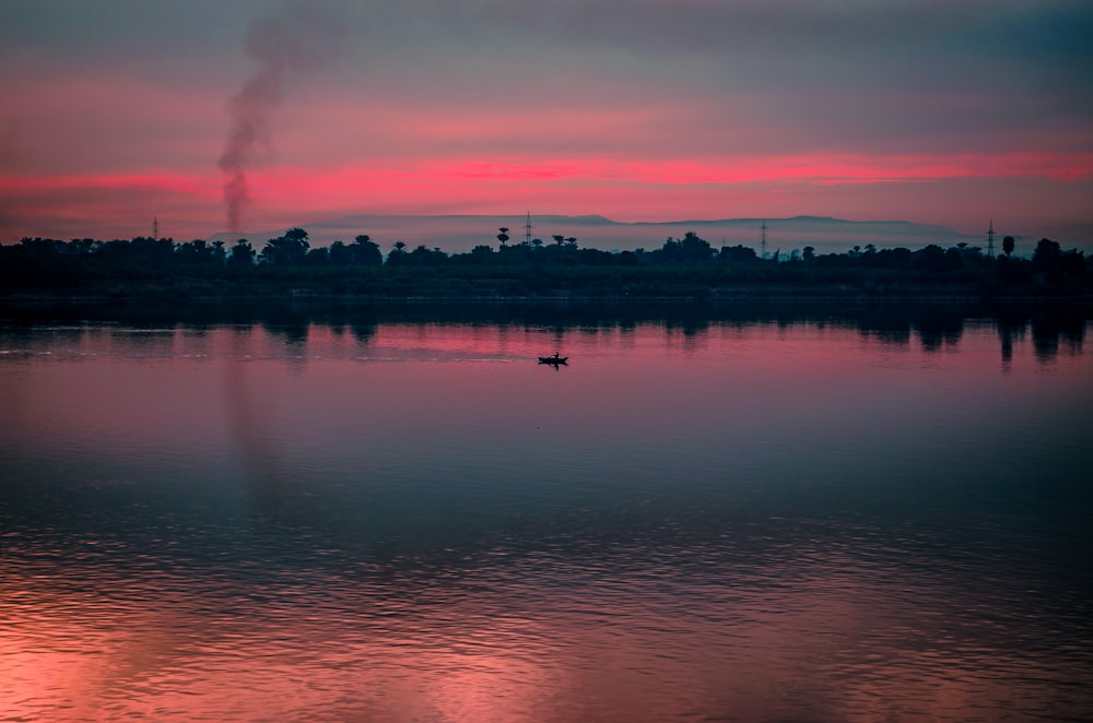 silhouette of trees near body of water during sunset