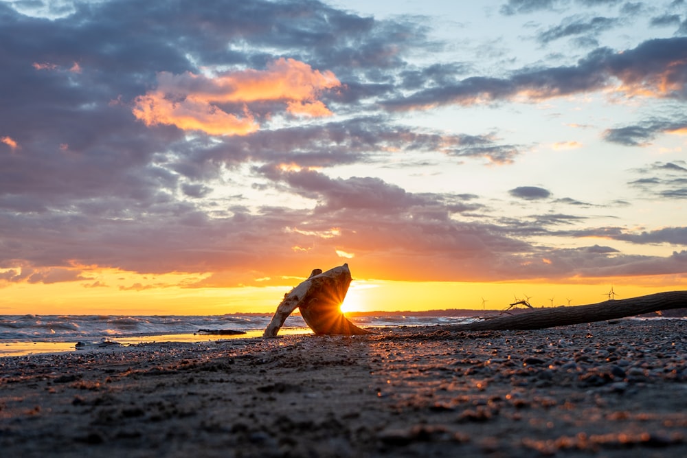 pessoa em calças marrons andando na praia durante o pôr do sol