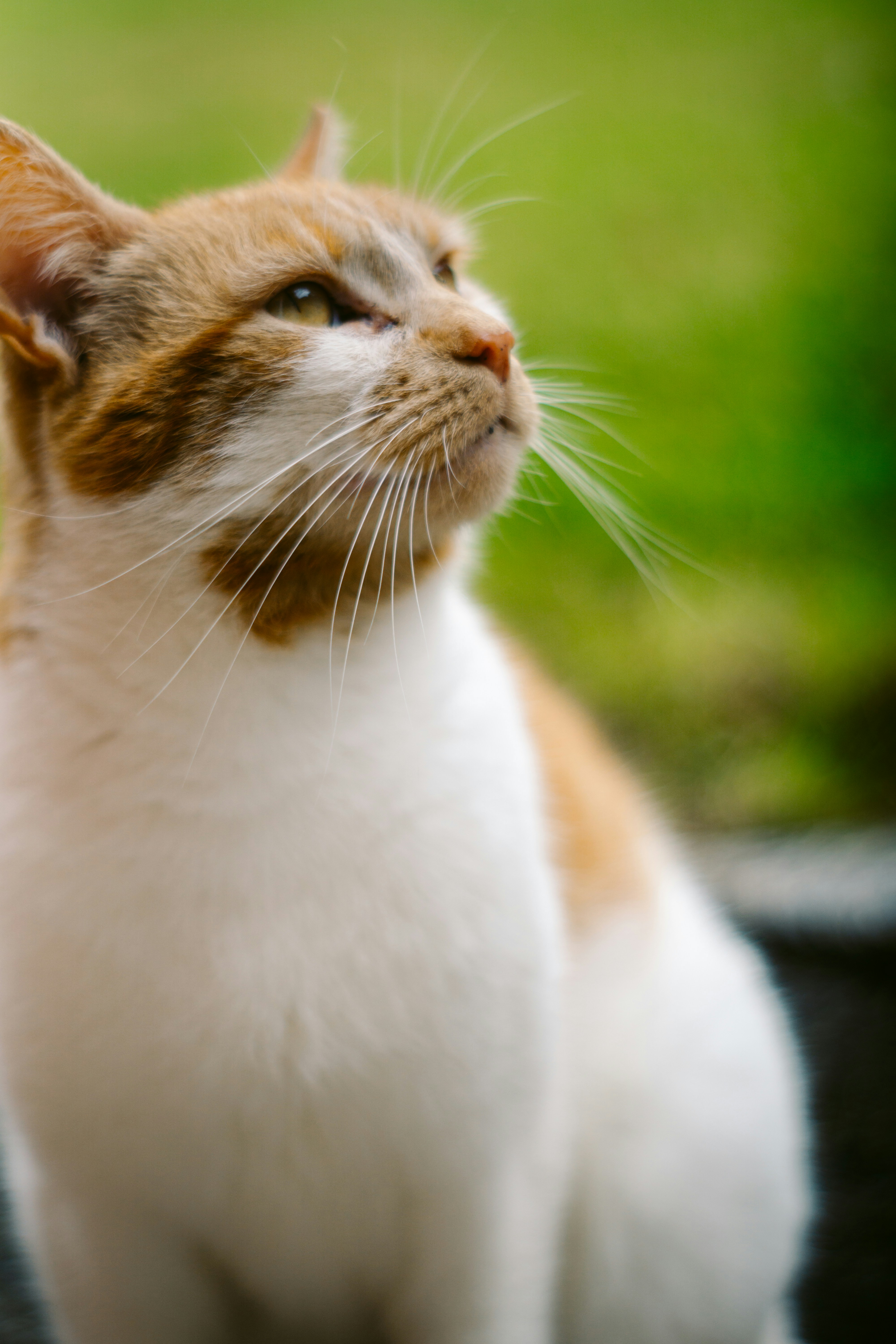 Photo by hashir123455