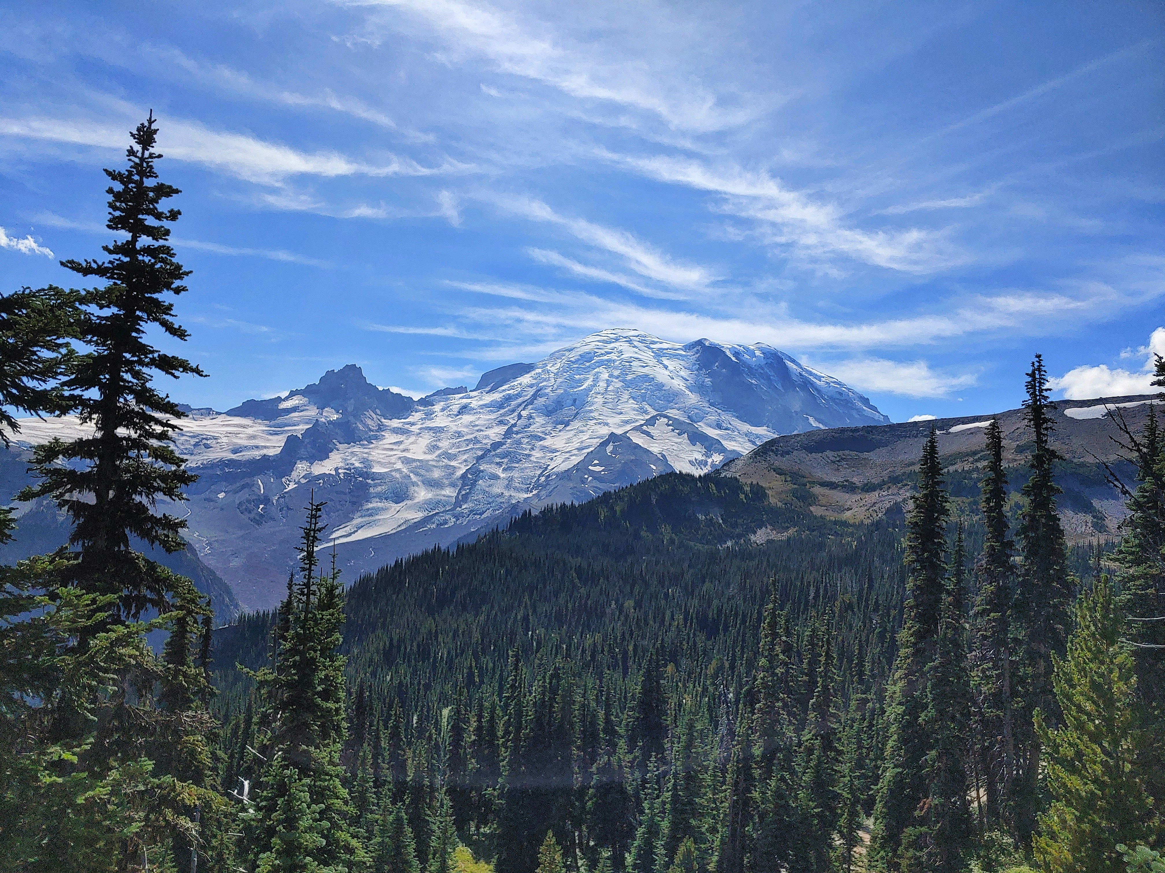 green pine trees near snow covered mountain under blue sky during daytime, Mount Rainier view from the Sunrise visitor center