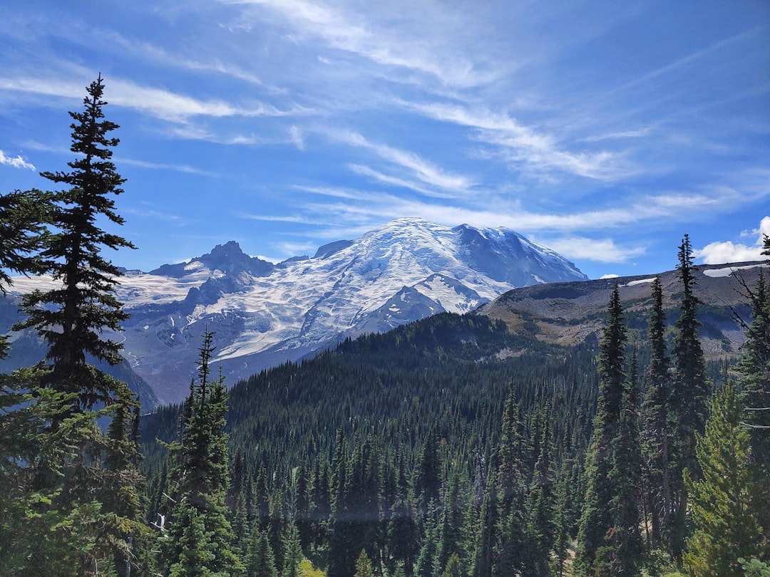 Mountain Majesty: Taking in Mt. Rainier&#8217;s Grandeur at SeaTac Airport