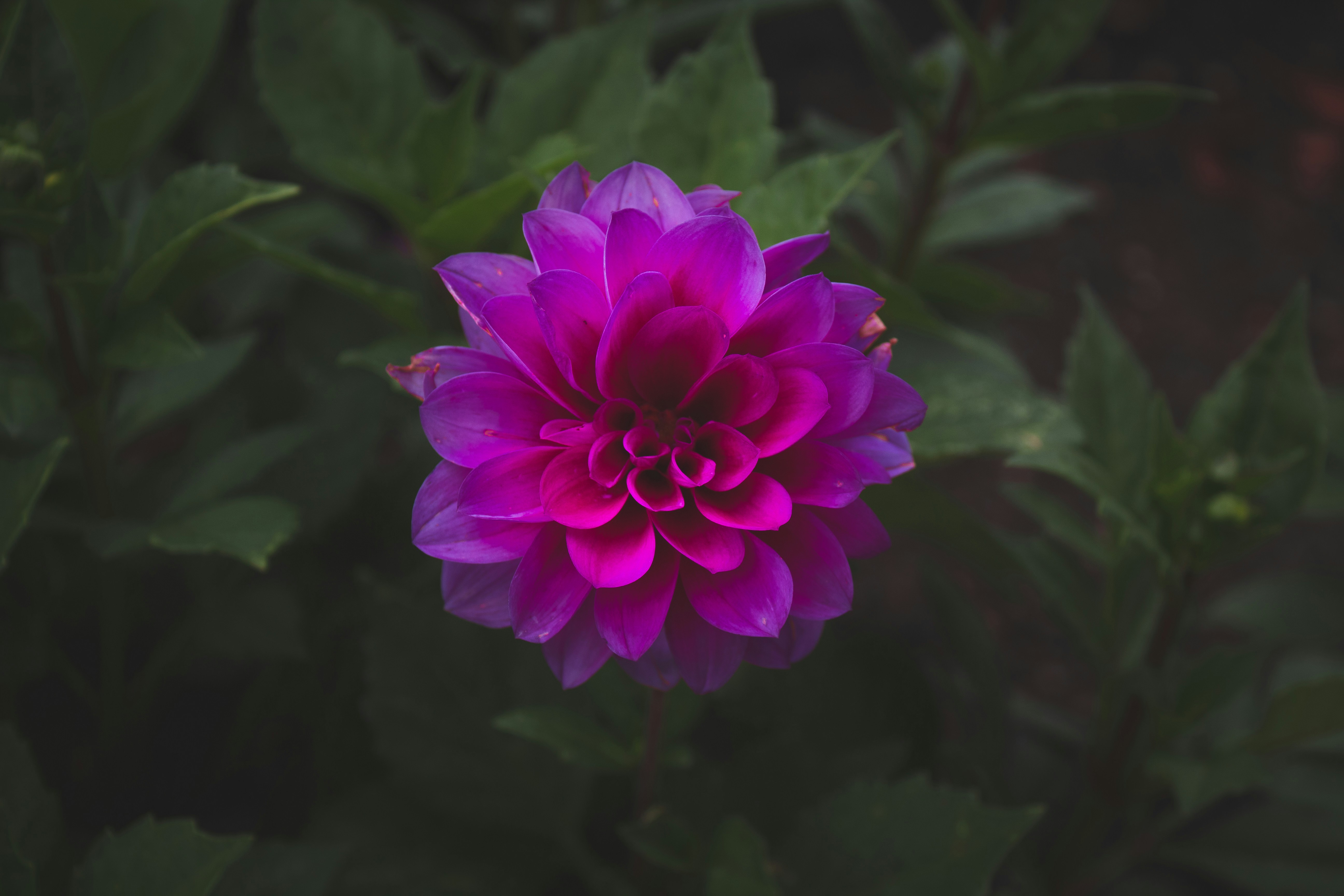 Photo by danaward
