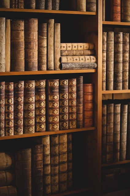 brown wooden shelf with books